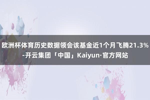 欧洲杯体育历史数据领会该基金近1个月飞腾21.3%-开云集团「中国」Kaiyun·官方网站