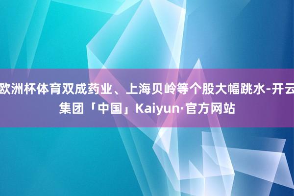 欧洲杯体育双成药业、上海贝岭等个股大幅跳水-开云集团「中国」Kaiyun·官方网站