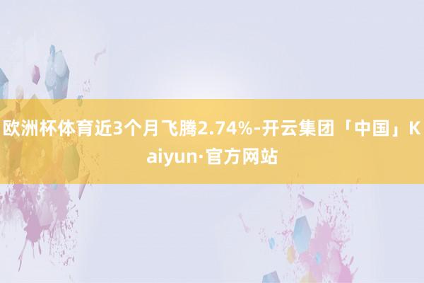 欧洲杯体育近3个月飞腾2.74%-开云集团「中国」Kaiyun·官方网站