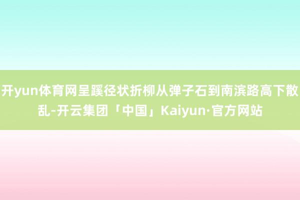 开yun体育网呈蹊径状折柳从弹子石到南滨路高下散乱-开云集团「中国」Kaiyun·官方网站