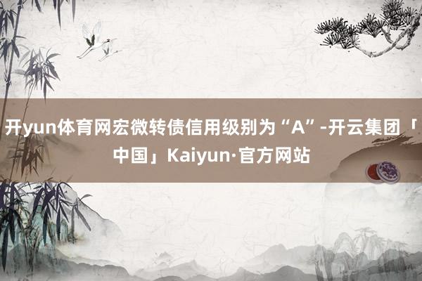 开yun体育网宏微转债信用级别为“A”-开云集团「中国」Kaiyun·官方网站