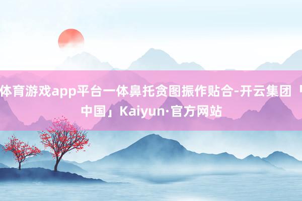 体育游戏app平台一体鼻托贪图振作贴合-开云集团「中国」Kaiyun·官方网站